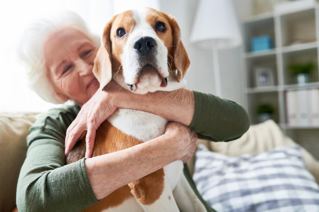 are dogs allowed in care homes